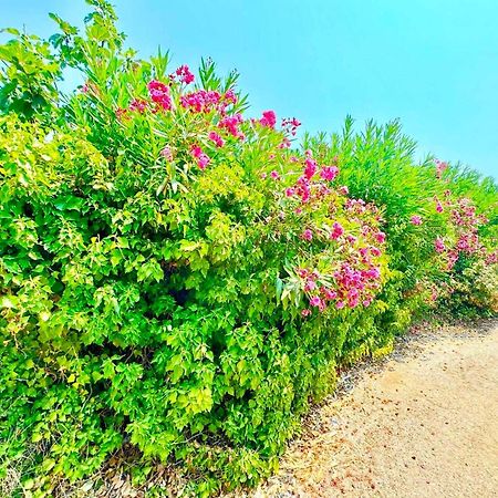 Tetraktys Estate Beachside Υδωρ Ágios Matthaíos Exteriör bild