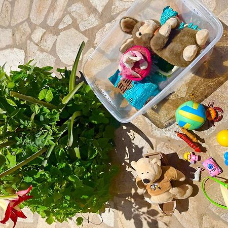 Tetraktys Estate Beachside Υδωρ Ágios Matthaíos Exteriör bild