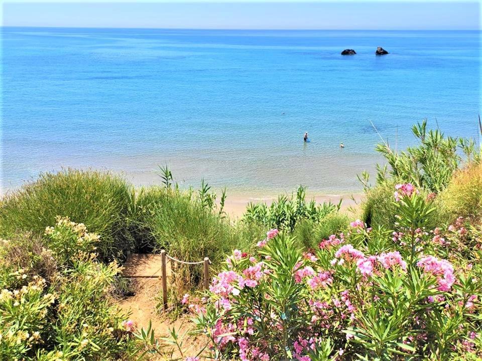 Tetraktys Estate Beachside Υδωρ Ágios Matthaíos Exteriör bild
