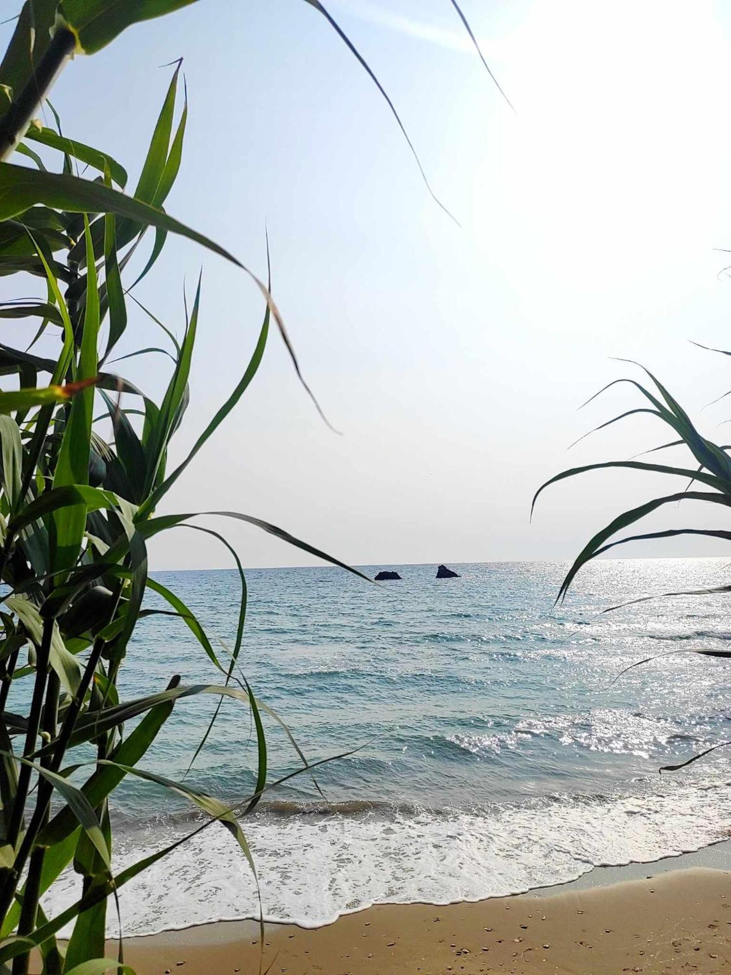 Tetraktys Estate Beachside Υδωρ Ágios Matthaíos Exteriör bild