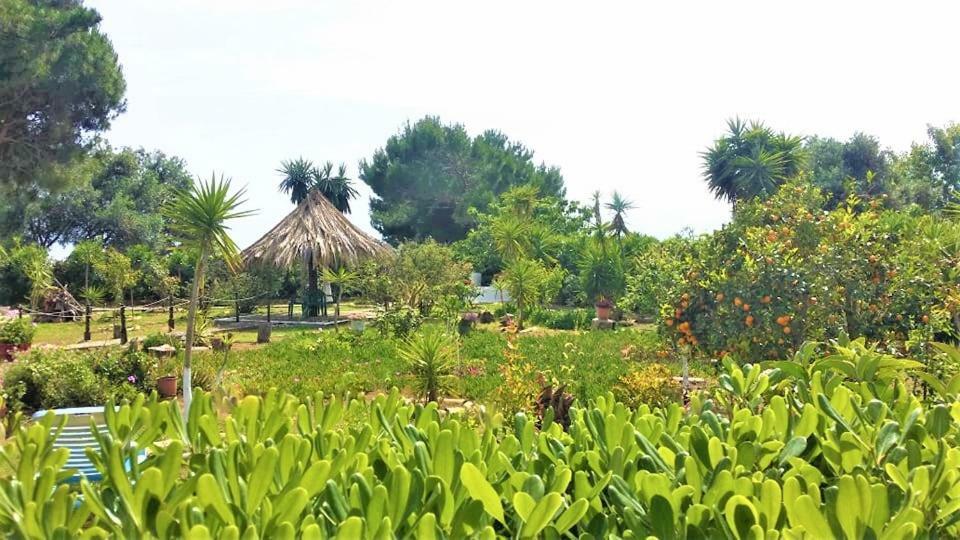 Tetraktys Estate Beachside Υδωρ Ágios Matthaíos Exteriör bild